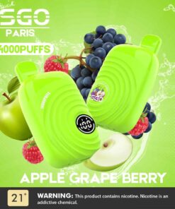 ISGO Paris 2% nicotine Disposable 14000 Puffs Rechargeable Vape in Dubai, UAE