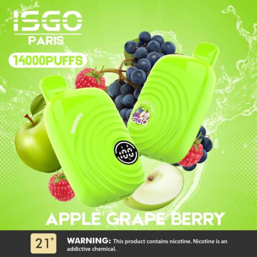 ISGO Paris 2% nicotine Disposable 14000 Puffs Rechargeable Vape in Dubai, UAE