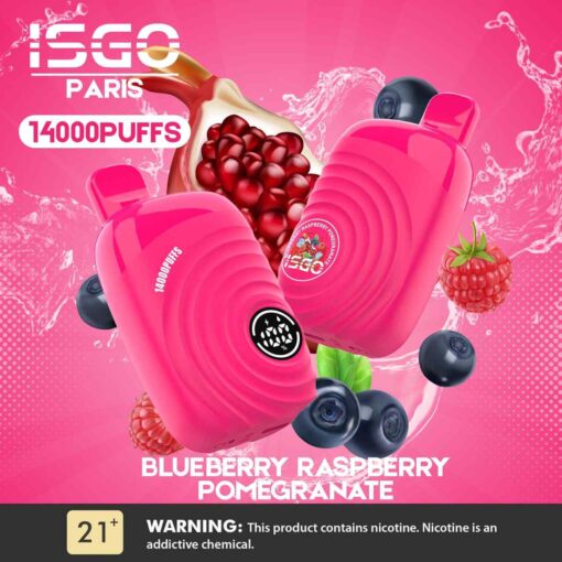 ISGO Paris 2% nicotine Disposable 14000 Puffs Rechargeable Vape in Dubai, UAE - Image 7