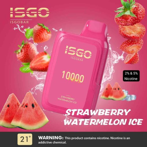 ISGO Bar Disposable 10000 Puffs 2% Rechargeable Vape in Dubai, UAE - Image 2