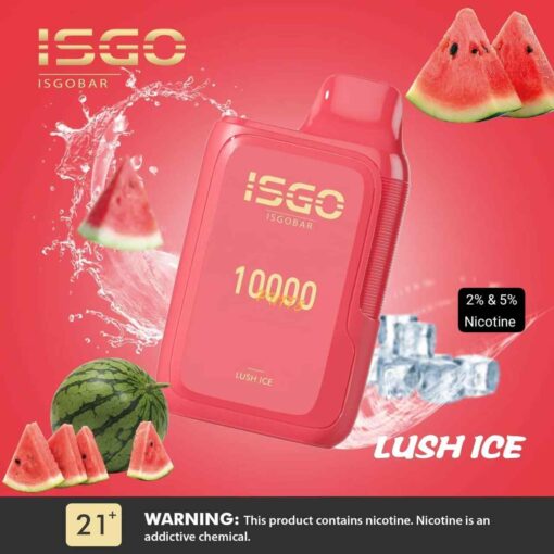 ISGO Bar Disposable 10000 Puffs 2% Rechargeable Vape in Dubai, UAE - Image 10