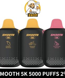 Smooth 5k 5000 Puffs 2% Nicotine Disposable Vape in Dubai
