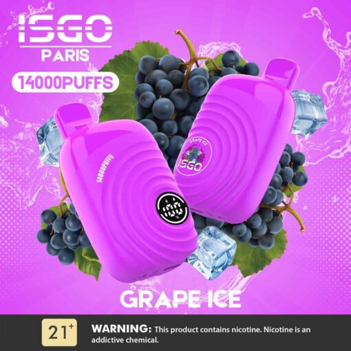 ISGO Paris 2% nicotine Disposable 14000 Puffs Rechargeable Vape in Dubai, UAE - Image 6