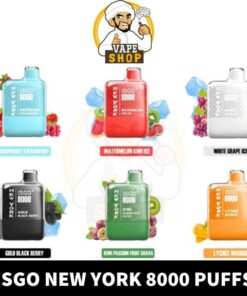 Isgo New York 8000 Puffs Rechargeable Disposable Vape shop In UAE