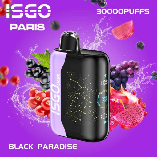 ISGO Bar Paris X 30000 50MG Puffs Disposable Vape in Dubai - Image 11