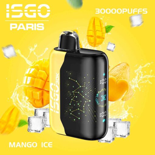 ISGO Bar Paris X 30000 50MG Puffs Disposable Vape in Dubai - Image 7