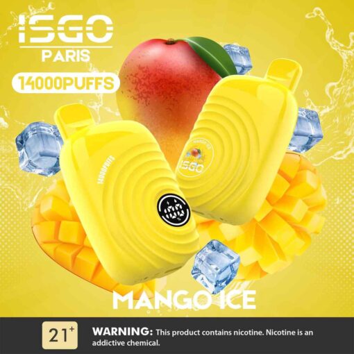 ISGO Paris 2% nicotine Disposable 14000 Puffs Rechargeable Vape in Dubai, UAE - Image 5