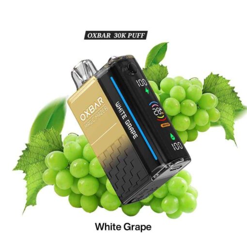 OXBAR Magic Maze 2 Disposable 30000 Puffs Vape in Dubai - Image 2