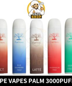 RIPE VAPES Palm Disposable 3000 Puffs 20MG Rechargeable Vape in Dubai, UAE