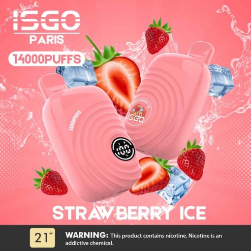 ISGO Paris 2% nicotine Disposable 14000 Puffs Rechargeable Vape in Dubai, UAE - Image 4