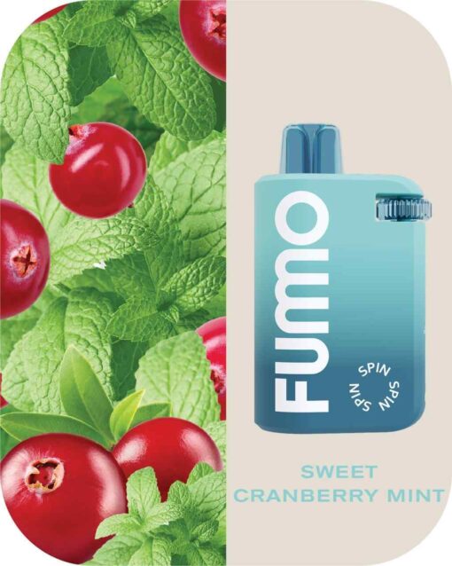 FUMMO Spin Disposable 10000 Puffs 20MG Rechargeable Vape in Dubai, UAE - Image 4