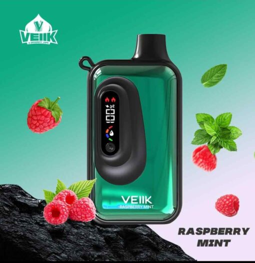 VEIIK Space VKK 20000 Puffs Disposable Vape in Dubai - Image 9