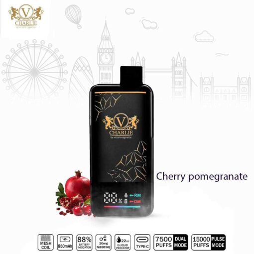 VICIG Charlie 15000 Puffs 20MG Disposable Vape in Dubai - Image 9