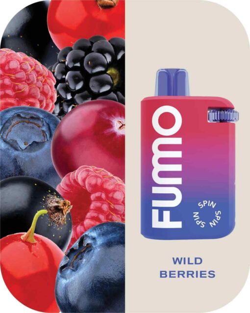 FUMMO Spin Disposable 10000 Puffs 20MG Rechargeable Vape in Dubai, UAE - Image 3