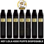 HEY LOLA Disposable UK BRAND 2% 4500 Puffs Vape in Dubai, UAE