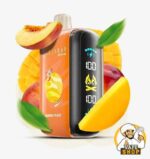 ELF BAR Raya D3 25000 Puffs 50MG Disposable Vape - Image 6