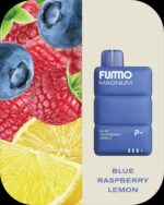 FUMMO Magnum 8000 Puffs 2% Nicotine Disposable Vape in Dubai - Image 16