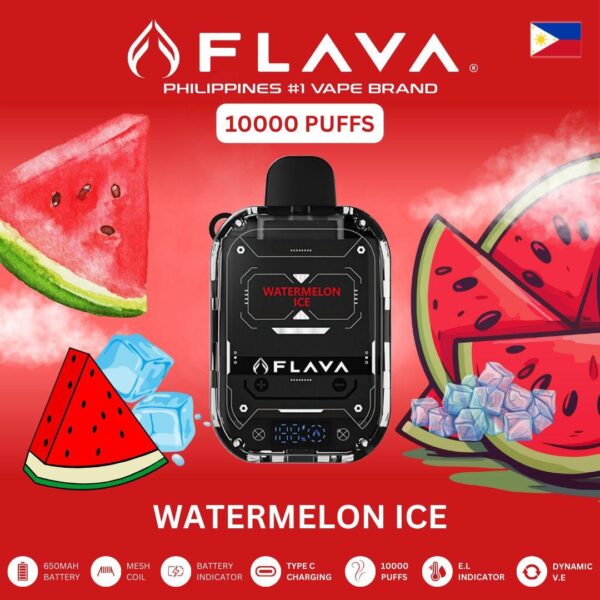 Flava Nimmbox 10000 Puffs 30mg Nicotine Philippines Vape Brand - Image 3