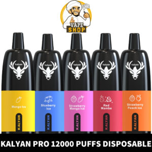 KALYAN Pro 12000 Puffs 50MG Disposable Vape