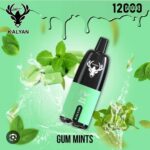 KALYAN Pro 12000 Puffs 50MG Disposable Vape - Image 8