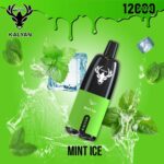 KALYAN Pro 12000 Puffs 50MG Disposable Vape - Image 6