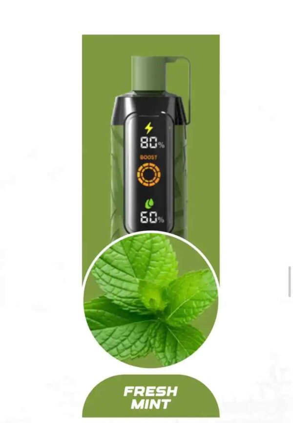 NERD Cloud 20000 Puffs 6MG Nicotine Disposable Vape in Dubai - Image 18
