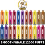 SMOOTH Whale Disposable 2% & 5% 12000 Puffs Rechargeable Vape in Dubai, UAE - Image 2