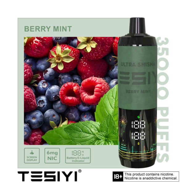 TESIYI ULTRA SHISHA 6MG NICOTINE 35000 PUFFS - Image 4