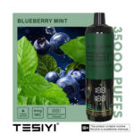 TESIYI ULTRA SHISHA 6MG NICOTINE 35000 PUFFS - Image 13