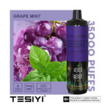 TESIYI ULTRA SHISHA 6MG NICOTINE 35000 PUFFS - Image 11