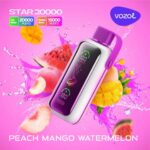 VOZOL Star 20000 Puffs 20MG & 50mg Disposable Vape in Dubai - Image 9