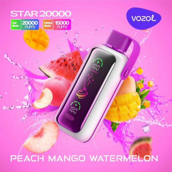 VOZOL Star 20000 Puffs 20MG & 50mg Disposable Vape in Dubai - Image 9