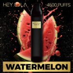 HEY LOLA Disposable UK BRAND 2% 4500 Puffs Vape in Dubai, UAE - Image 3