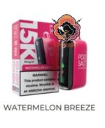 Podsalt 15000 Puffs 2 Nicotine Disposable Watermelon Breeze