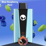 Waka SoPro 20000 Puffs Blue Raspberry Mint