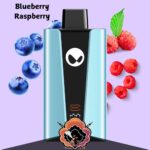 Waka SoPro 20000 Puffs Blueberry Raspberry
