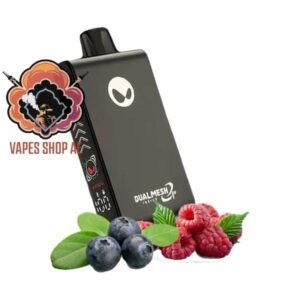 waka blade 50000 puffs disposable vape blueberryraspberry