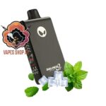 waka blade 50000 puffs disposable vape freshmint