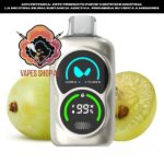 waka pa 25000 puffs disposable vape green grape