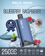 RELX Peace 25k puffs 20MG Disposable Vape in Dubai Blueberry Raspberry