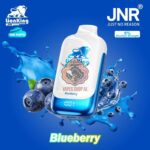 jnr lion king 50000 puffs 50mg nicotine blueberry