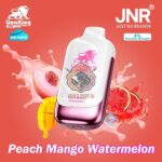 jnr lion king 50000 puffs 50mg nicotine peach mango watermelon