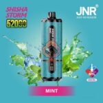 jnr shisha storm 52000 puffs disposable vape 2 dtl in the uae mint 2
