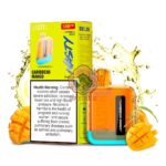 nasty bar 1200 puffs 20mg nicotine none rechargeable vape caribbean mango