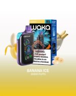 waka blast 50000 puffs disposable vape 50mg in the uae banana ice