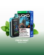 waka blast 50000 puffs disposable vape 50mg in the uae fresh mint