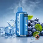 vapesoul-starlight-80000-puffs-disposable-vape-blueberry-ice.