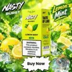 nasty burst 3mg 60ml vape juice in uae lemon mint