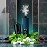 Kief Lion 60000 Puffs 2mg Disposable Vape - Gum Mint flavour