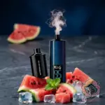 Kief Lion 60000 Puffs 2mg Disposable Vape - Watermelon Ice flavour